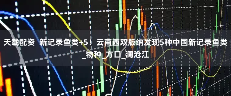 天载配资  新记录鱼类+5！云南西双版纳发现5种中国新记录鱼类_物种_方口_澜沧江