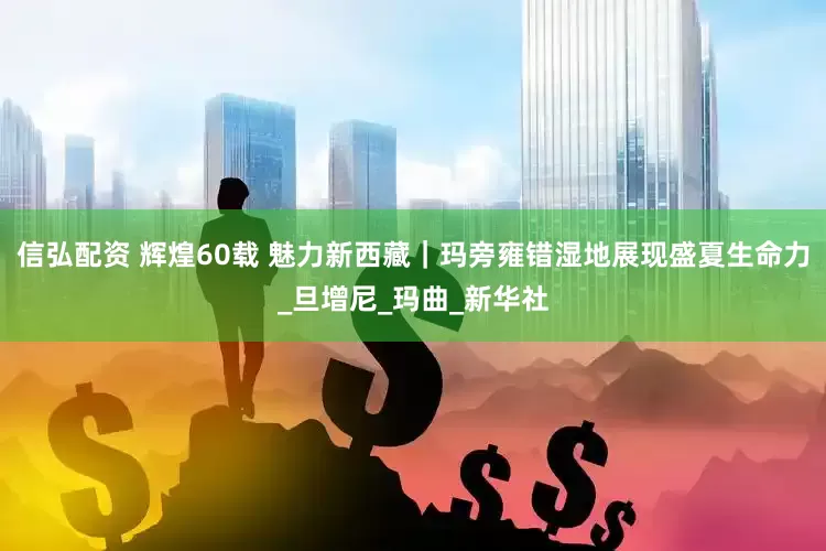 信弘配资 辉煌60载 魅力新西藏｜玛旁雍错湿地展现盛夏生命力_旦增尼_玛曲_新华社