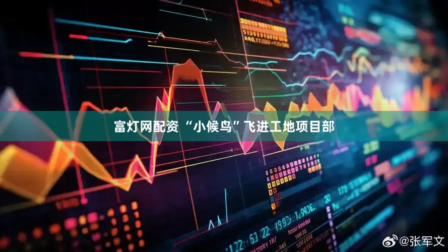 富灯网配资 “小候鸟”飞进工地项目部