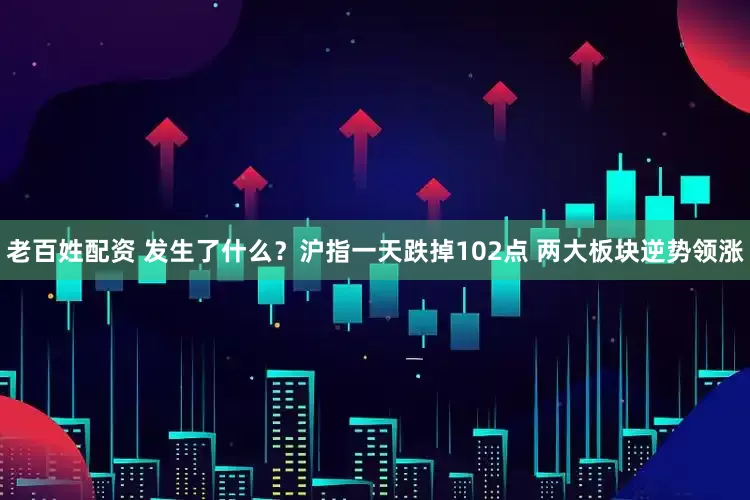 老百姓配资 发生了什么？沪指一天跌掉102点 两大板块逆势领涨